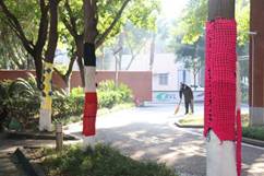 ca755a1fbbb53244ca9cb941b602dad ca755a1fbbb53244ca9cb941b602dad